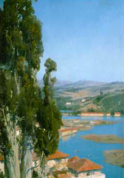 Constantinople 1890  Golden Horn